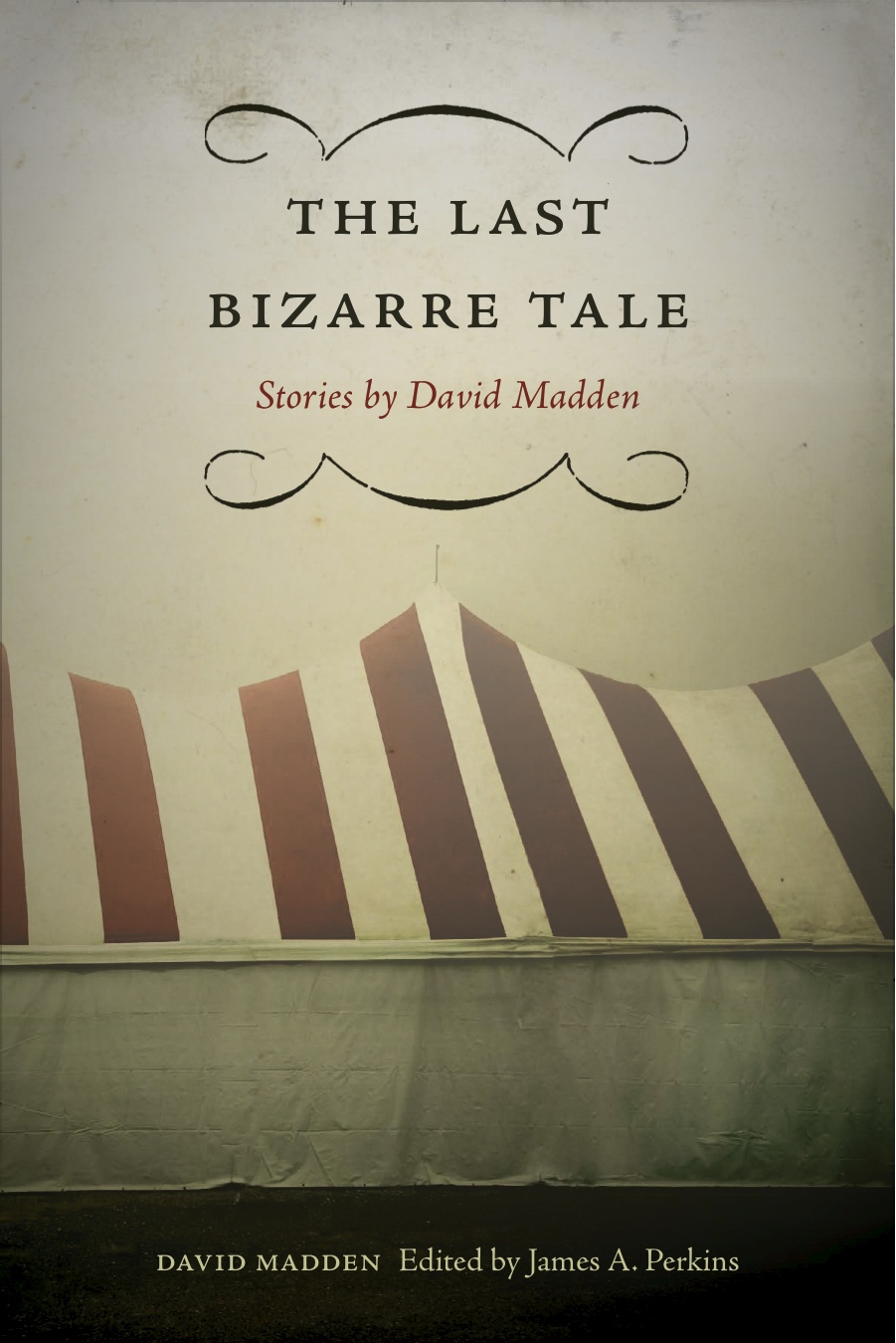 David madden madden david vol 15 essay 04 image