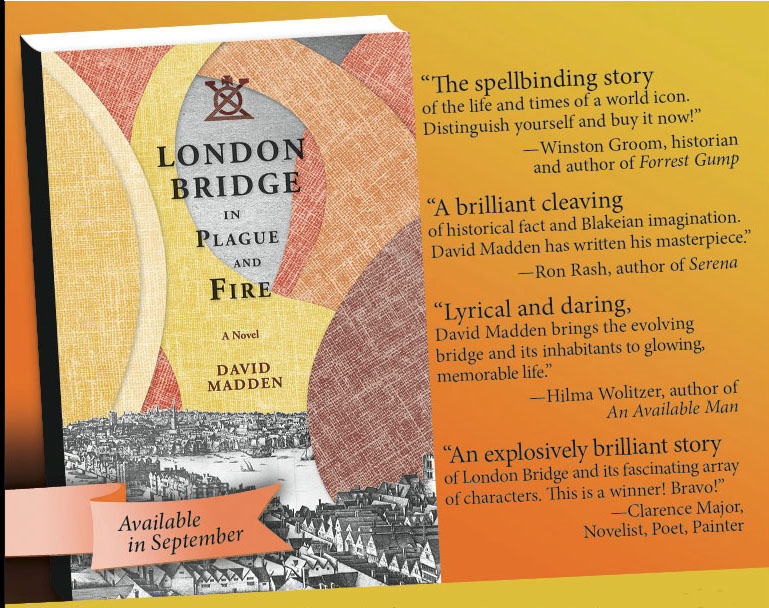 David madden madden david vol 15 essay 08 picture